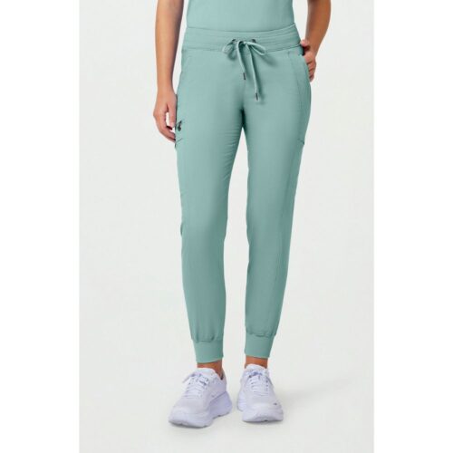 9244- Healing Hands Toby Jogger Pant Reg Length in Rainwater